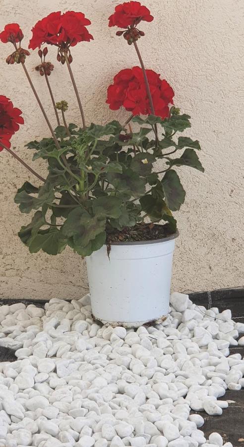 Baia Marzamemi Appartamenti Vendicari, Balata, Tonnara, Cortile Del Rais Εξωτερικό φωτογραφία